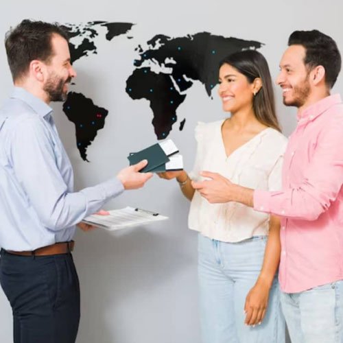 Visa consultant